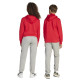 Adidas Παιδικό παντελόνι φόρμας Essentials Big Logo French Terry Pants